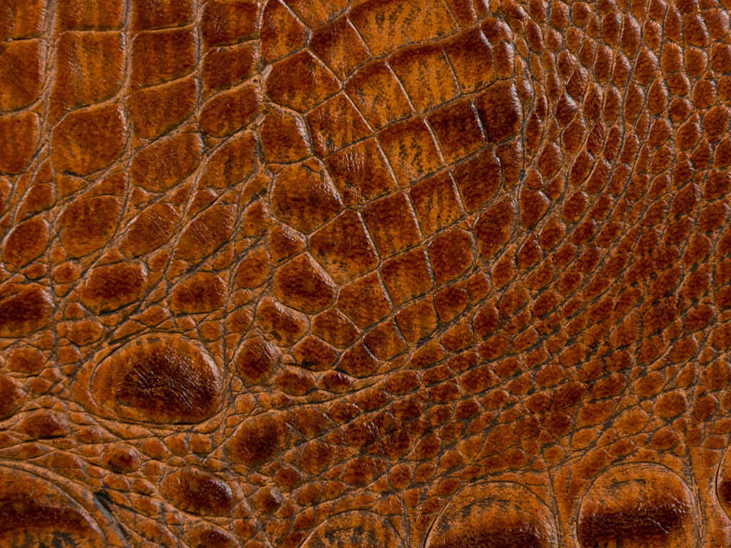 Kravet Couture - L-Madrid-Spice - KRAVET COUTURE Fabric