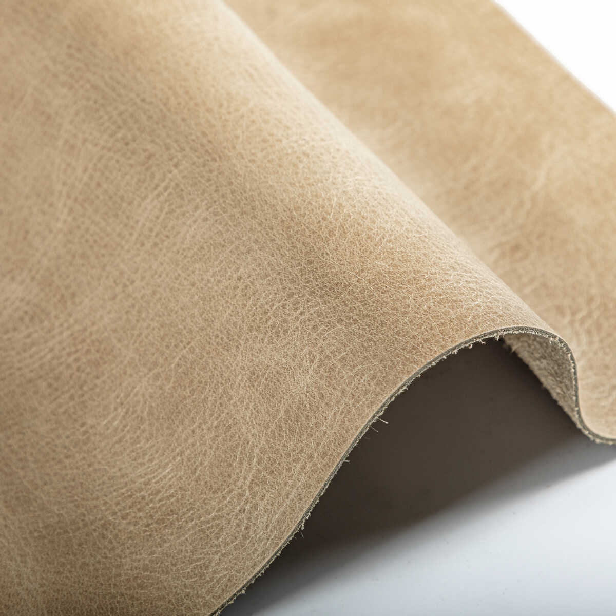 Kravet Design - L-Mane-Drift - KRAVET DESIGN Fabric