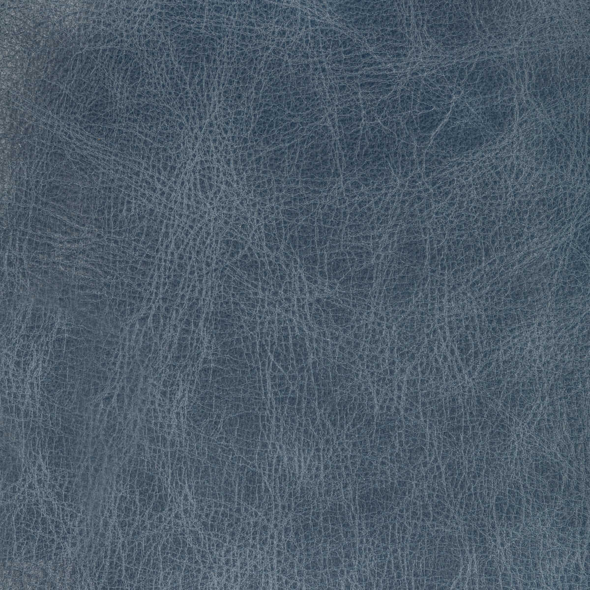 Kravet Design - L-Mane-Slate - KRAVET DESIGN Fabric