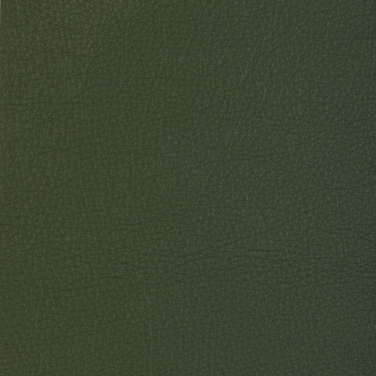 Kravet Design - L-Manzano-Sage - KRAVET DESIGN Fabric