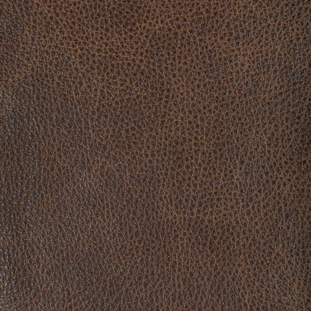 Kravet Design - L-Nambe-Cocoa - KRAVET DESIGN Fabric