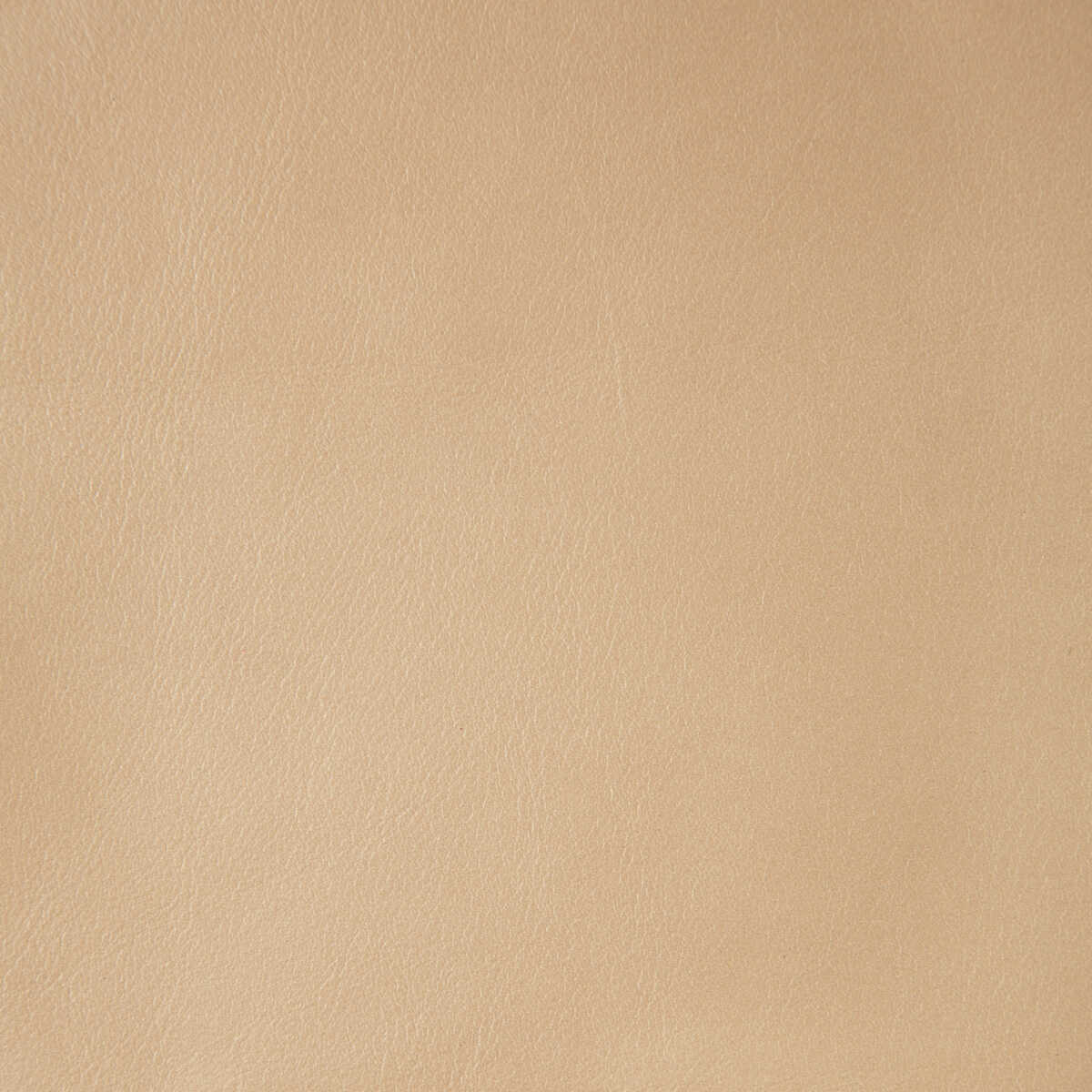 Kravet Design - L-Namib-Sand - KRAVET DESIGN Fabric