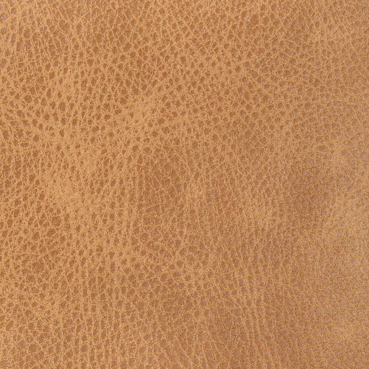 Kravet Design - L-Ope-Fawn - KRAVET DESIGN Fabric