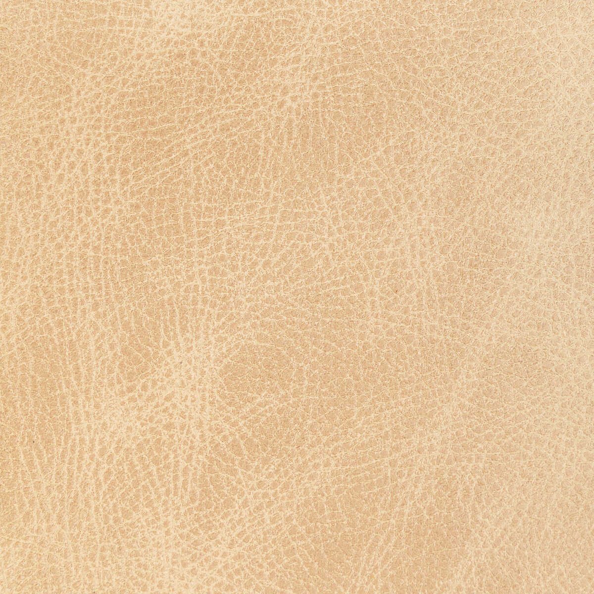 Kravet Design - L-Ope-Latte - KRAVET DESIGN Fabric