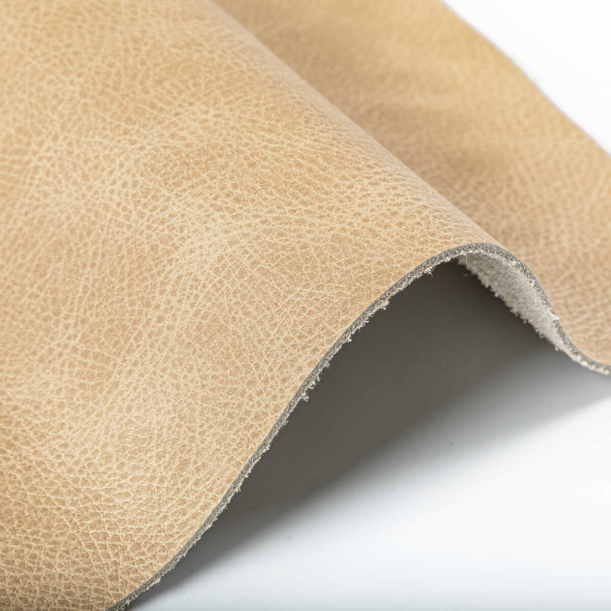Kravet Design - L-Ope-Latte - KRAVET DESIGN Fabric