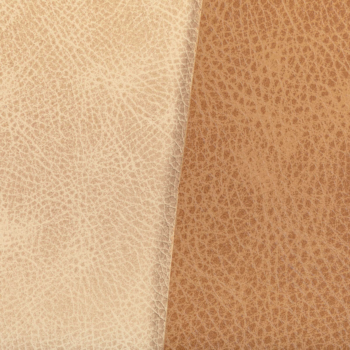 Kravet Design - L-Ope-Latte - KRAVET DESIGN Fabric
