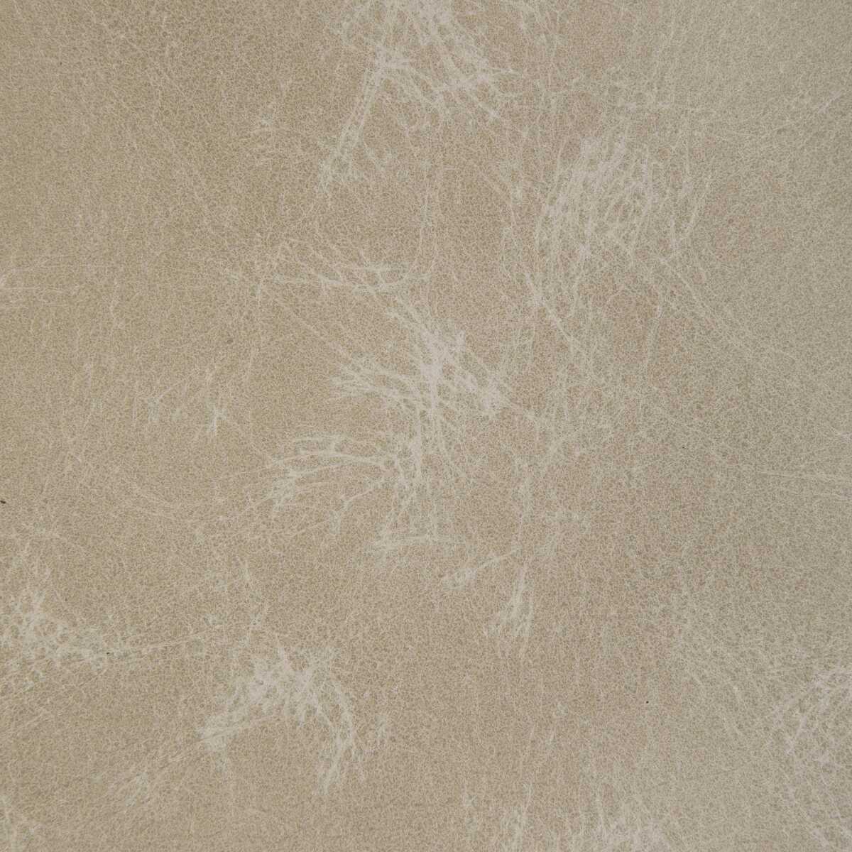 L-Ovine - Bone - KRAVET DESIGN Fabric