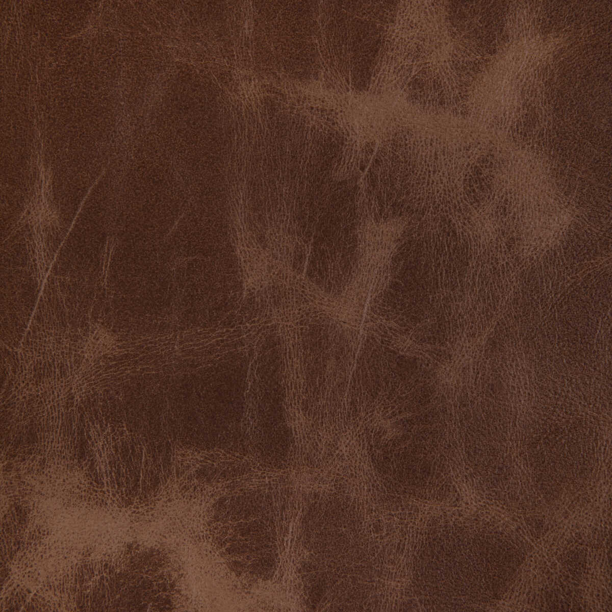 L-Ovine - Cinnamon - KRAVET DESIGN Fabric