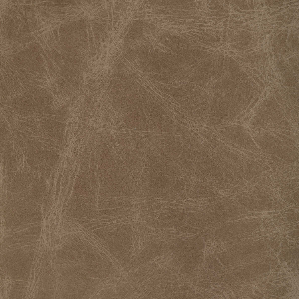 L-Ovine - Fawn - KRAVET DESIGN Fabric