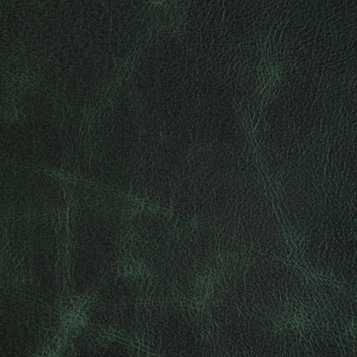 L-Ovine - Hunter - KRAVET DESIGN Fabric