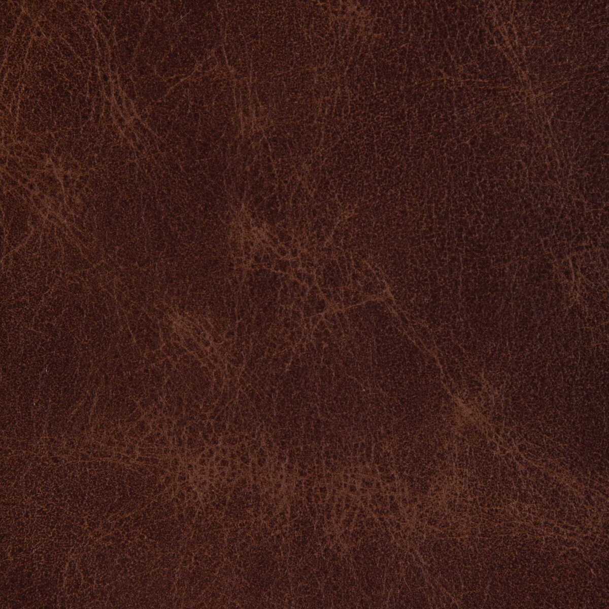 L-Ovine - Russet - KRAVET DESIGN Fabric