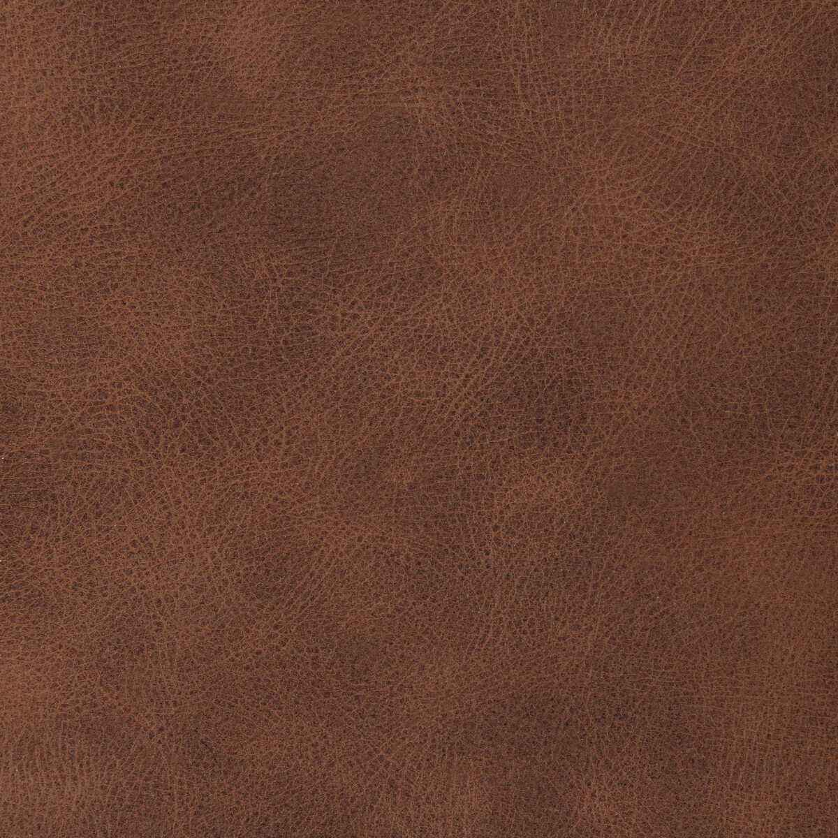 Lranchcinnamon0 L Ranch Cinnamon Kravet Design Fabric