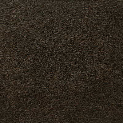 L-Rodeo - Cigar - KRAVET DESIGN Fabric