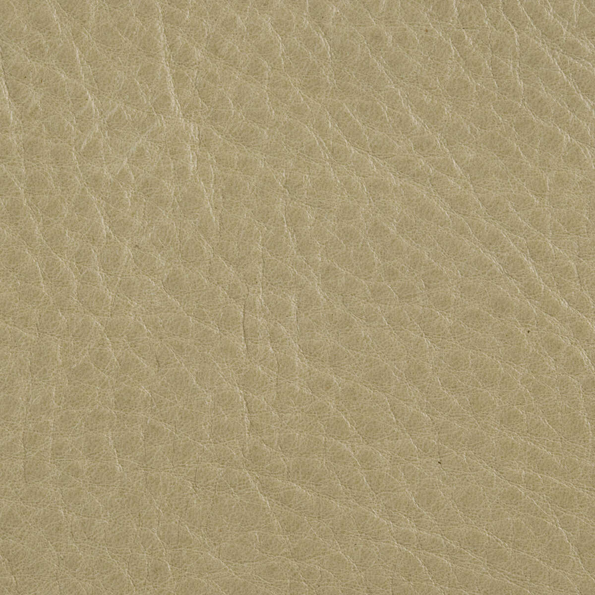 L-Rushmore - Putty - KRAVET DESIGN Fabric