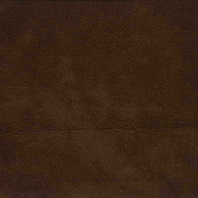 Kravet Design - L-Saguaro-Mocha - KRAVET DESIGN Fabric