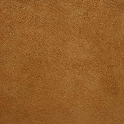 Kravet Design - L-Saguaro-Sand - KRAVET DESIGN Fabric