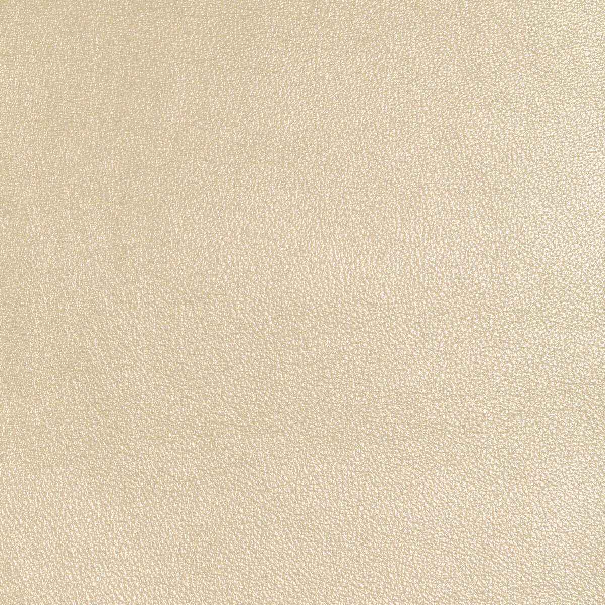 Lsierraalmond0 Kravet Design L Sierra Almond Kravet Design Fabric