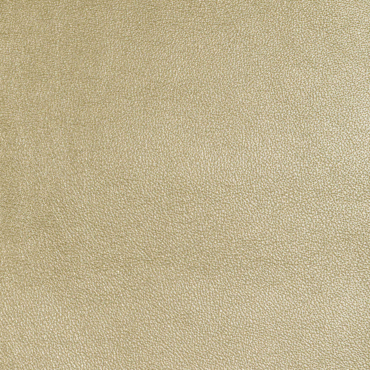 Kravet Design - L-Sierra-Glimmer - KRAVET DESIGN Fabric