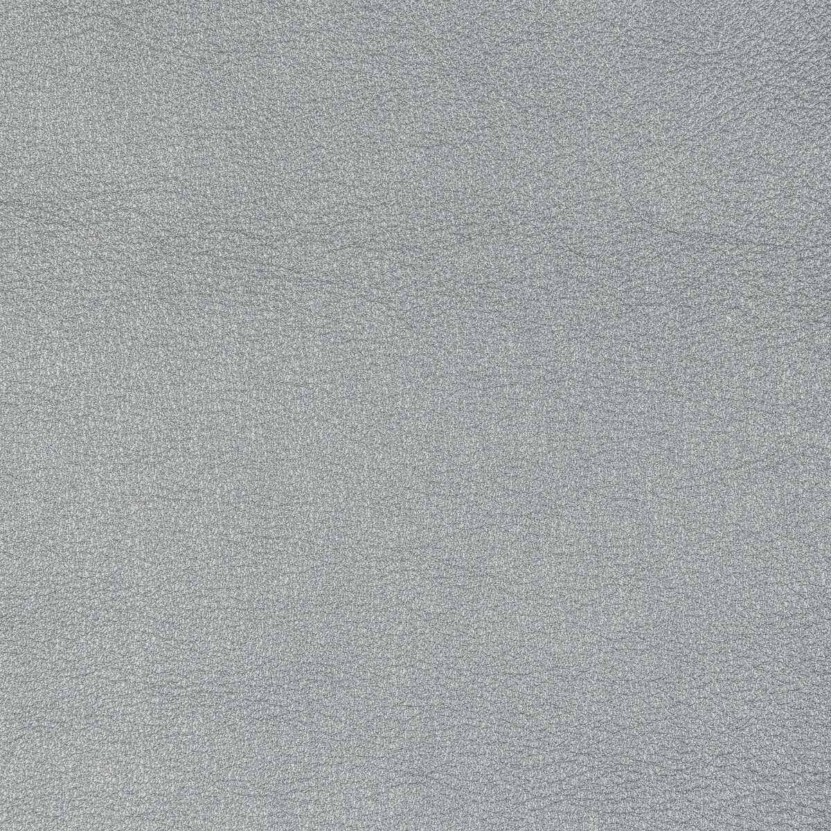 Kravet Design - L-Sierra-Platinum - KRAVET DESIGN Fabric