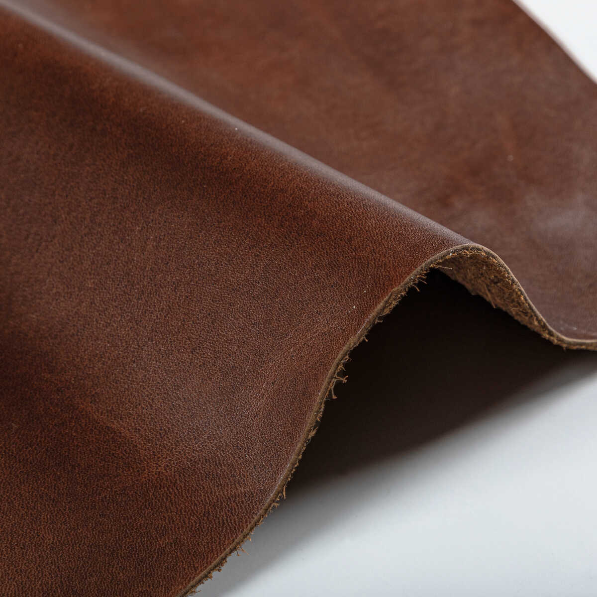 Kravet Design - L-Storrie-Cocoa - KRAVET DESIGN Fabric