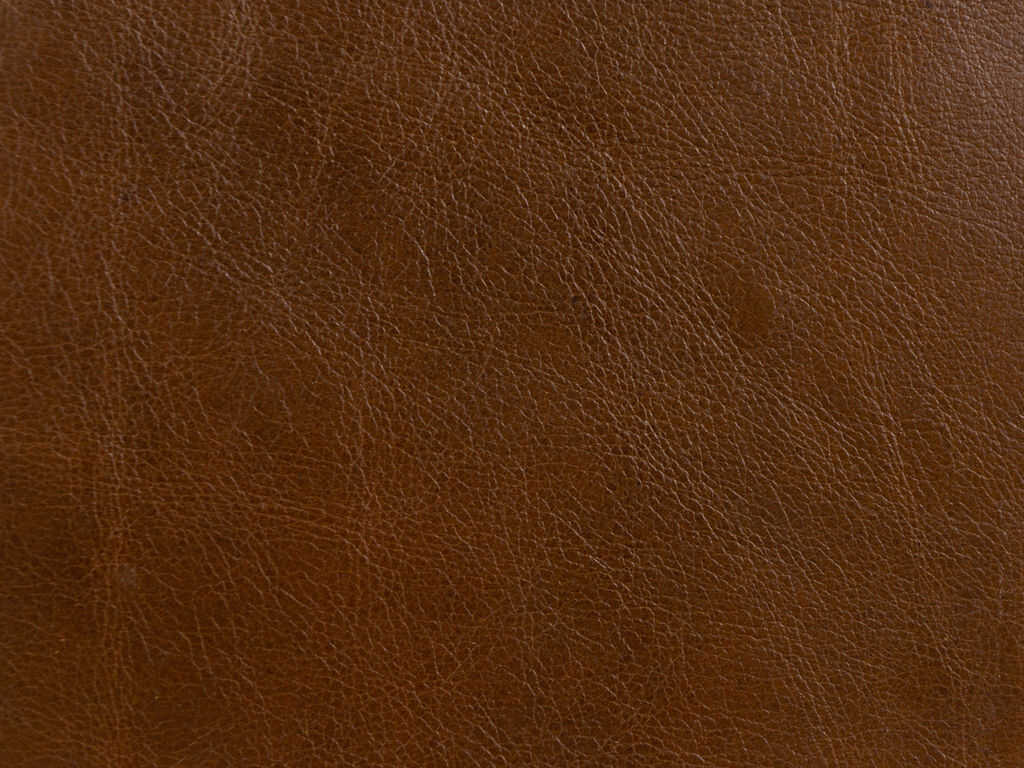 Kravet Design - L-Timeless-Saddle - KRAVET DESIGN Fabric