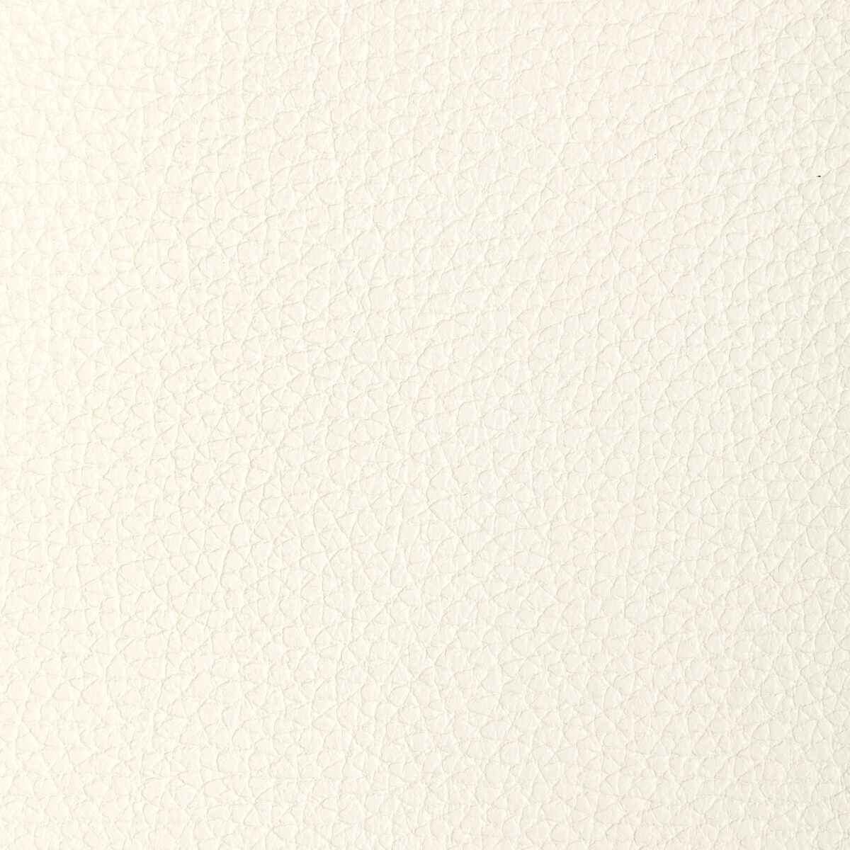 Ltucumblanc0 L Tucum Blanc Kravet Design Fabric