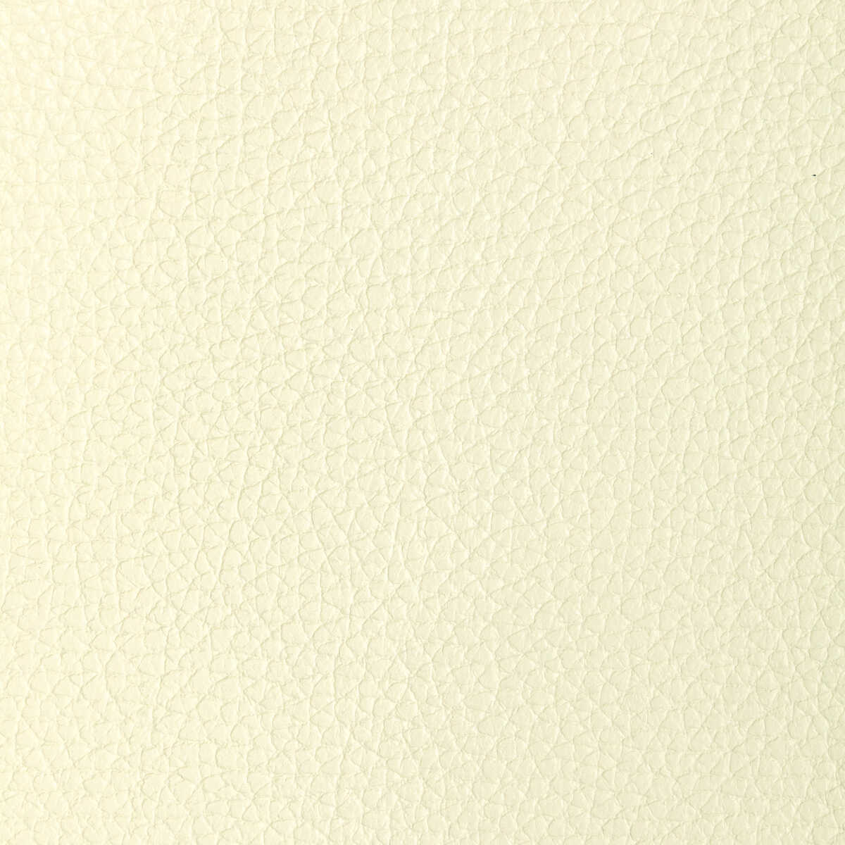 L-Tucum - Ivory - KRAVET DESIGN Fabric