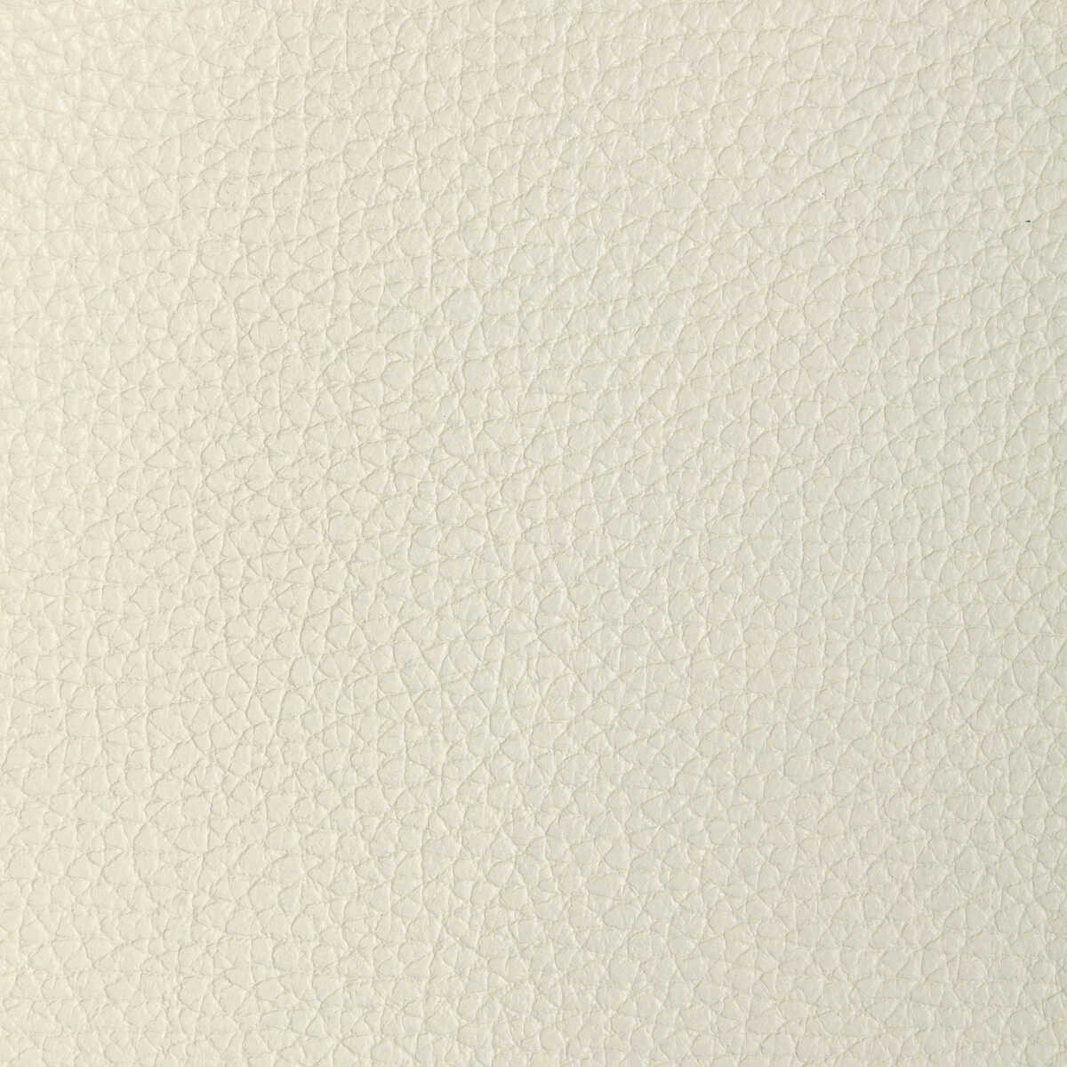 L-Tucum - Oyster - KRAVET DESIGN Fabric