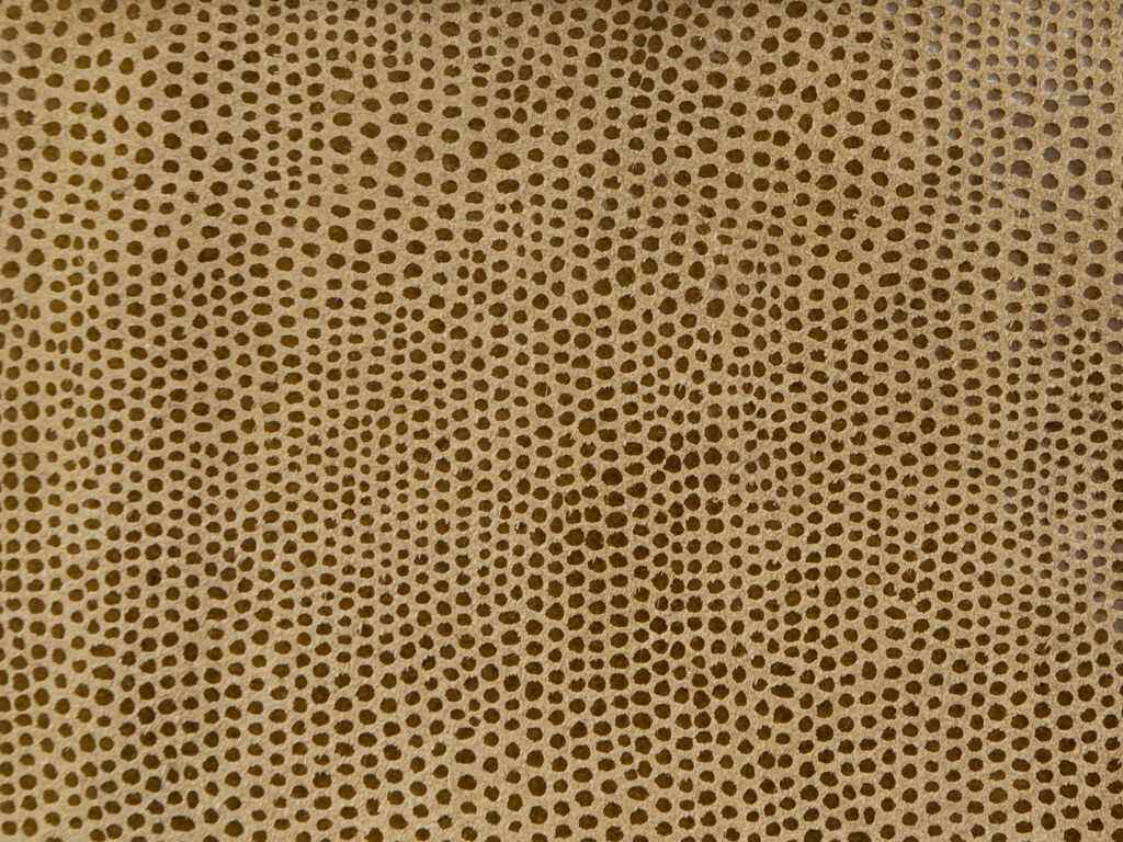 Lvavoomtawny0 L Vavoom Tawny Kravet Design Fabric