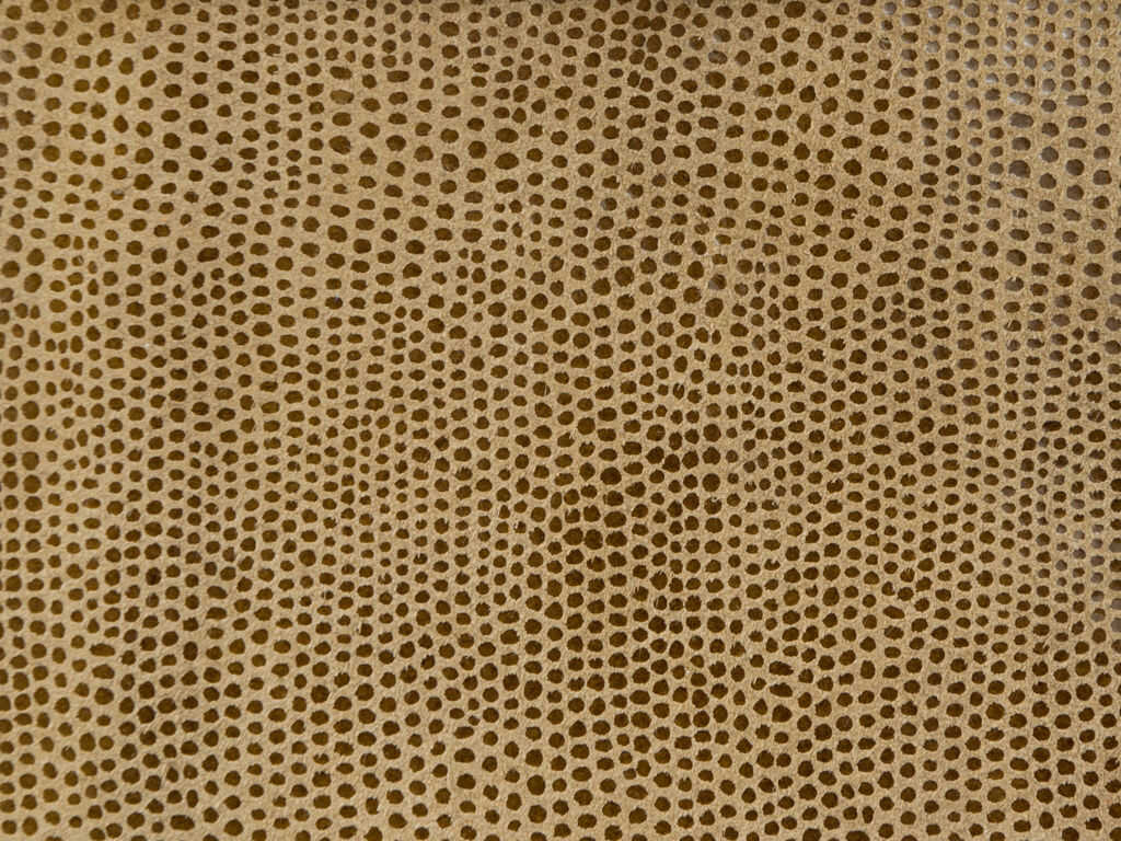 L-Vavoom - Tawny - KRAVET DESIGN Fabric