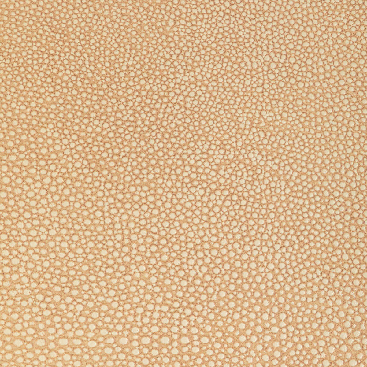 Kravet Design - L-Whit-Camel - KRAVET DESIGN Fabric