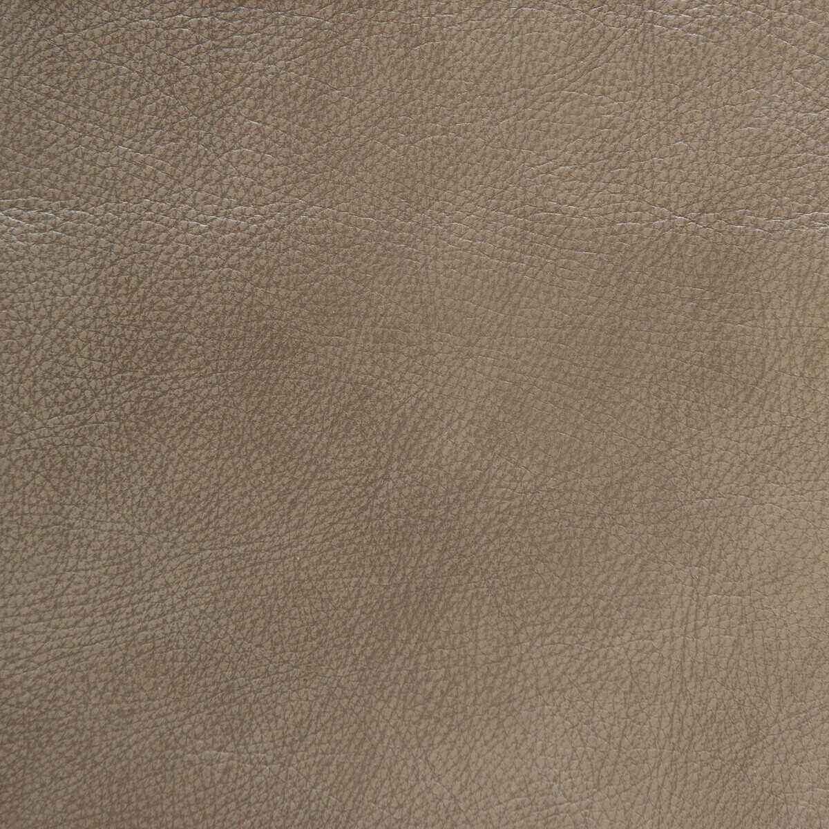 Lwyomingtaupe0 L Wyoming Taupe Kravet Design Fabric