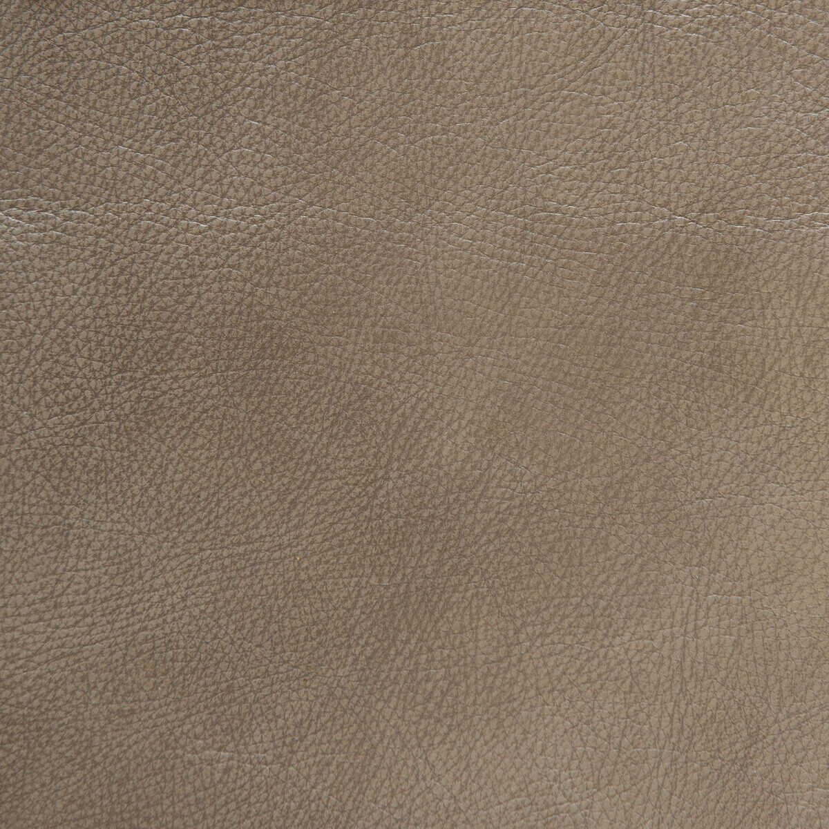 L-Wyoming - Taupe - KRAVET DESIGN Fabric