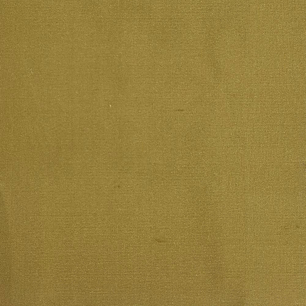 Dupioni Solids - Patna