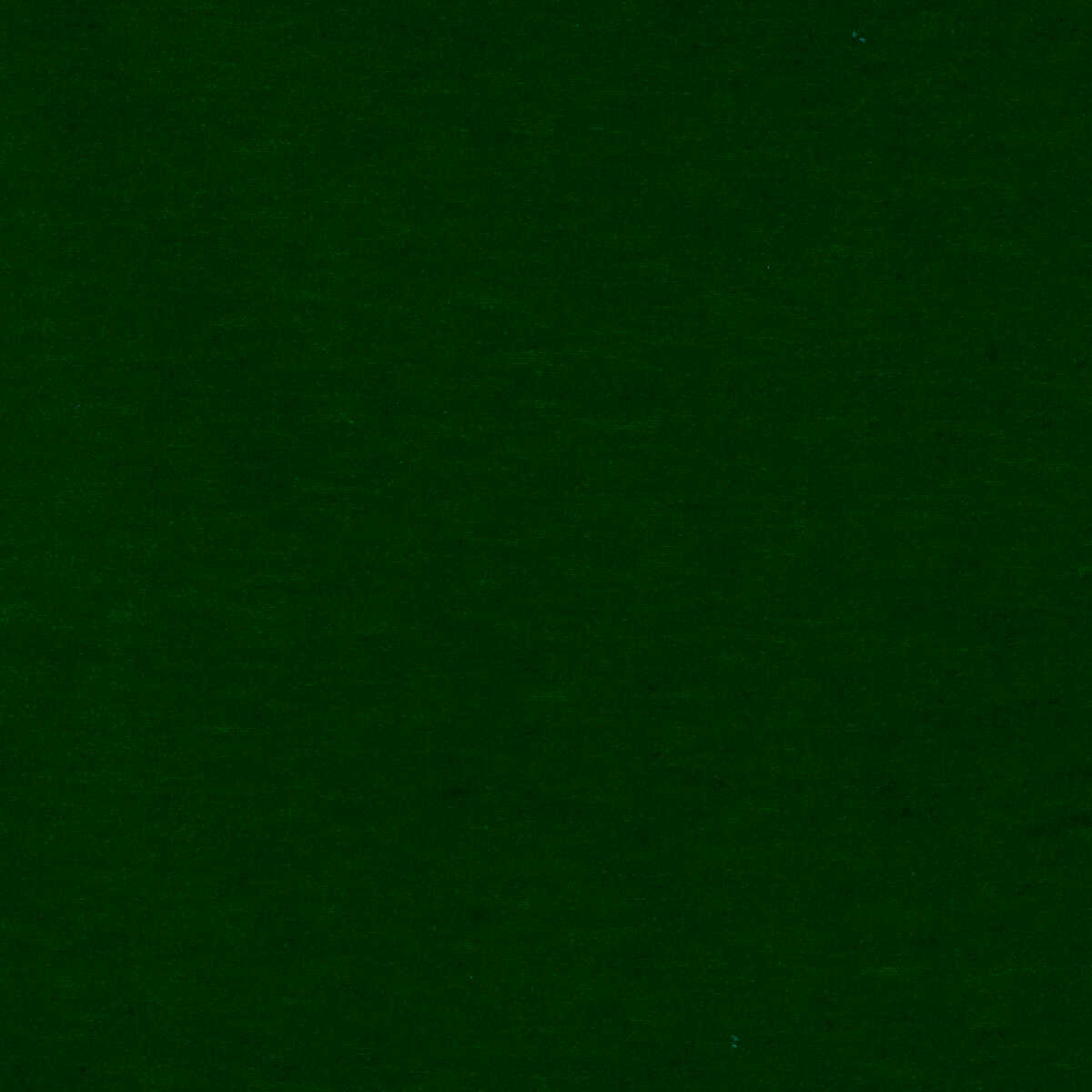 Meres - Verde - GASTON Y DANIELA Fabric