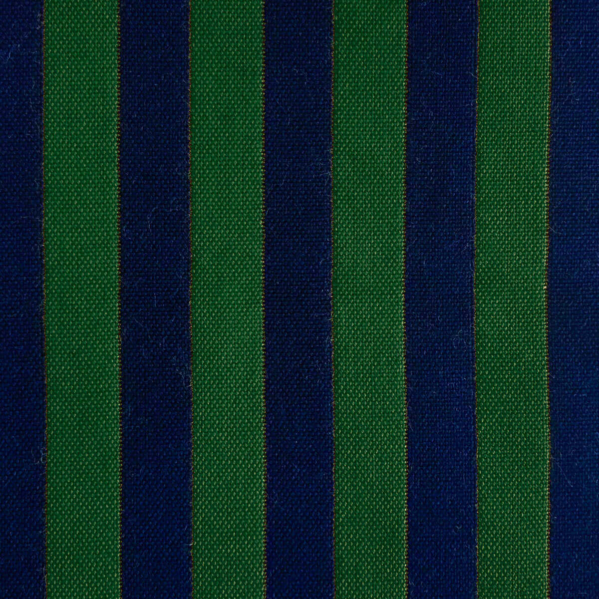 Benjamin - Navy/Verde - GASTON Y DANIELA Fabric