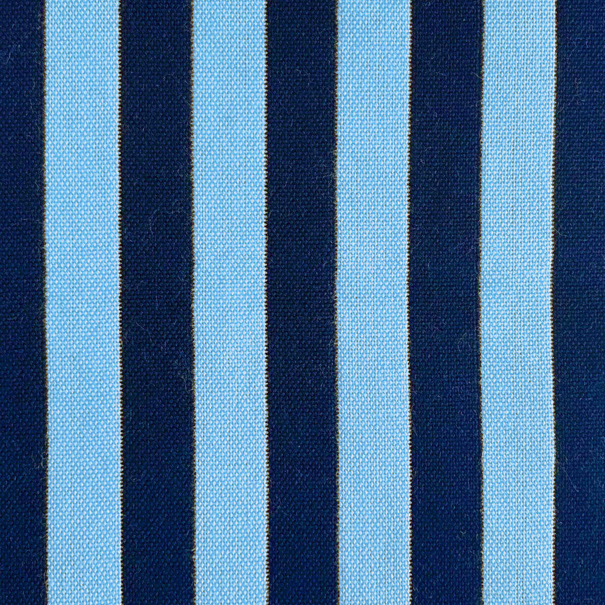 Benjamin - Azul - GASTON Y DANIELA Fabric