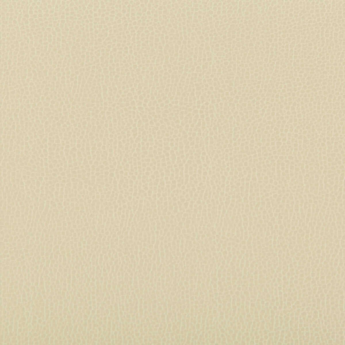 Lenox - Papyrus