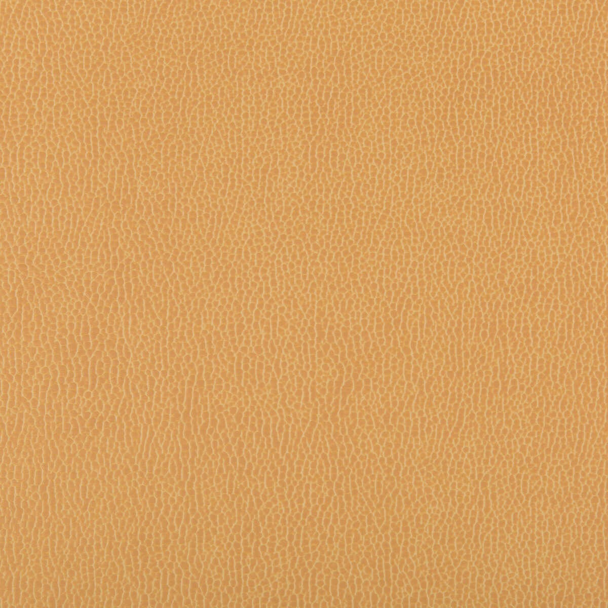 Lenox - Camel - KRAVET CONTRACT Fabric