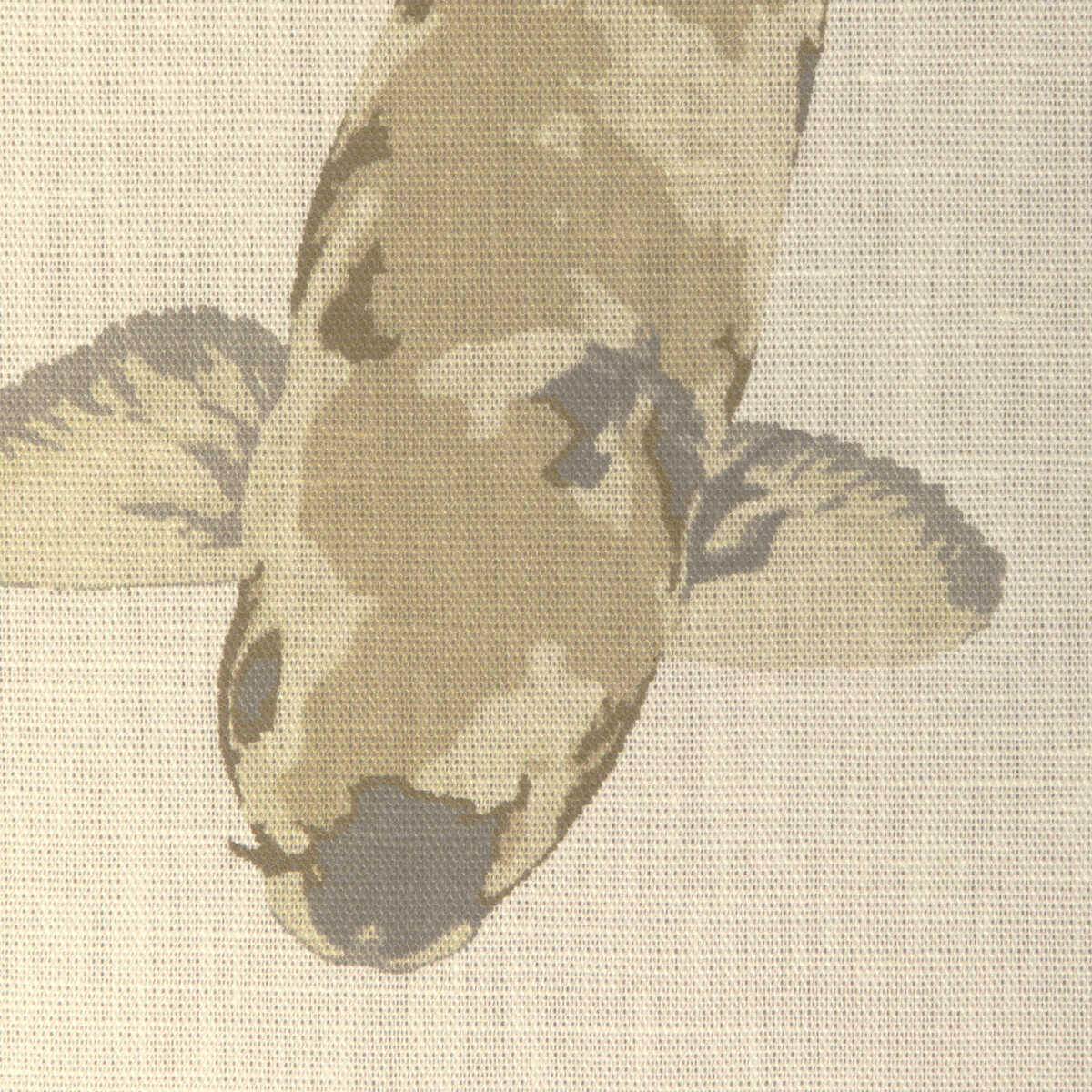 Lotus Print - Sandstone - KRAVET COUTURE Fabric