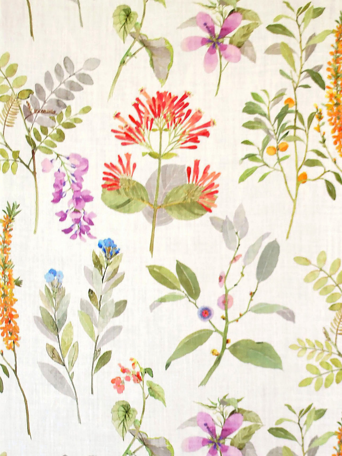 Sissinghurst - Coral / Multi - Scalamandre Fabric