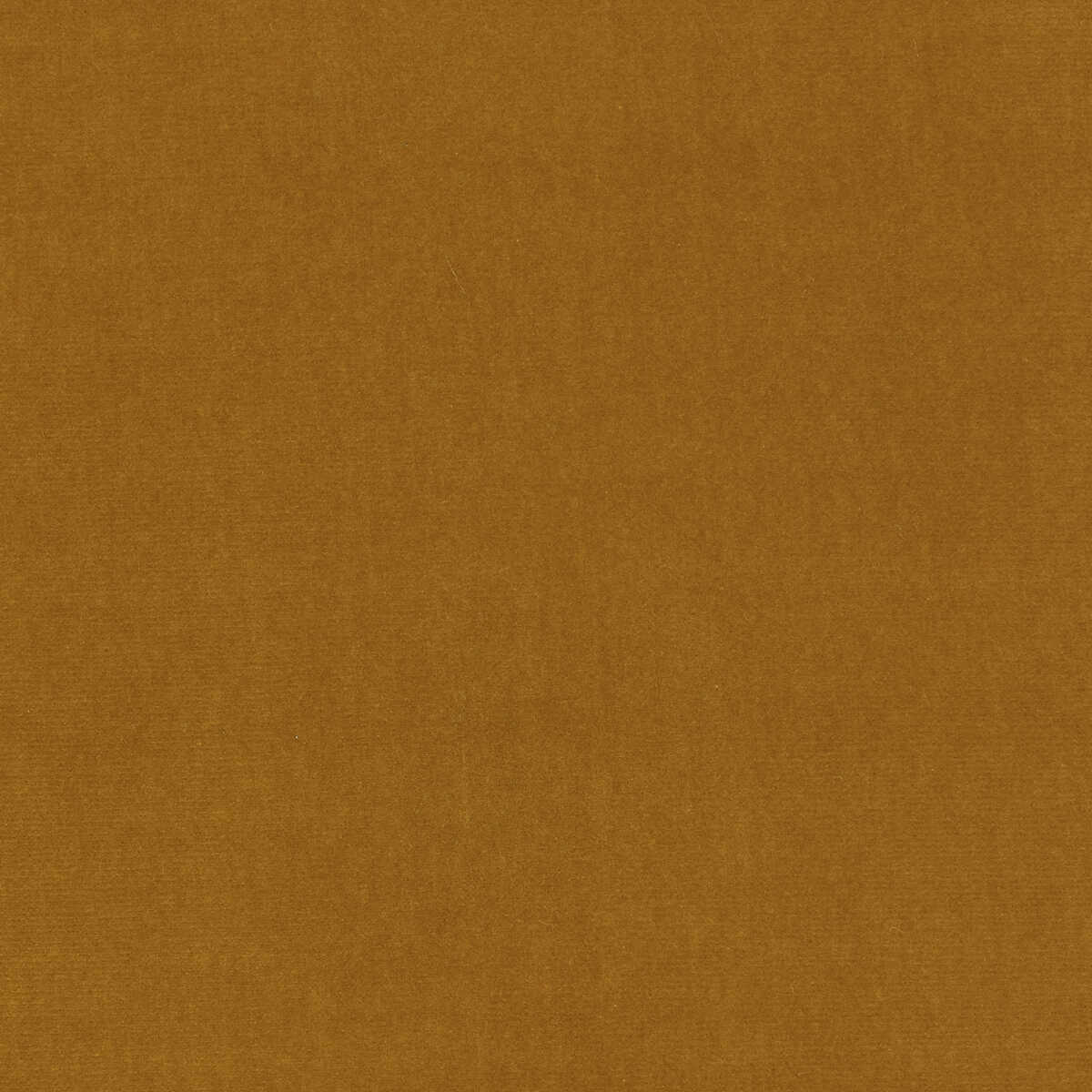 Eternal - 05 - KRAVET DESIGN Fabric