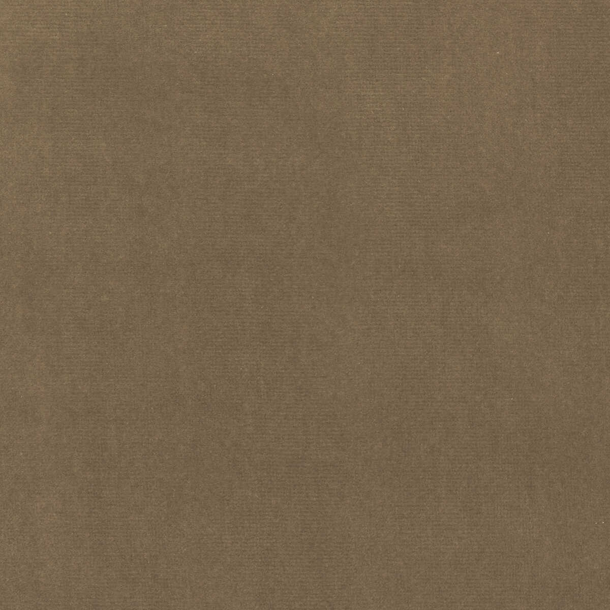 Eternal - 26 - KRAVET DESIGN Fabric