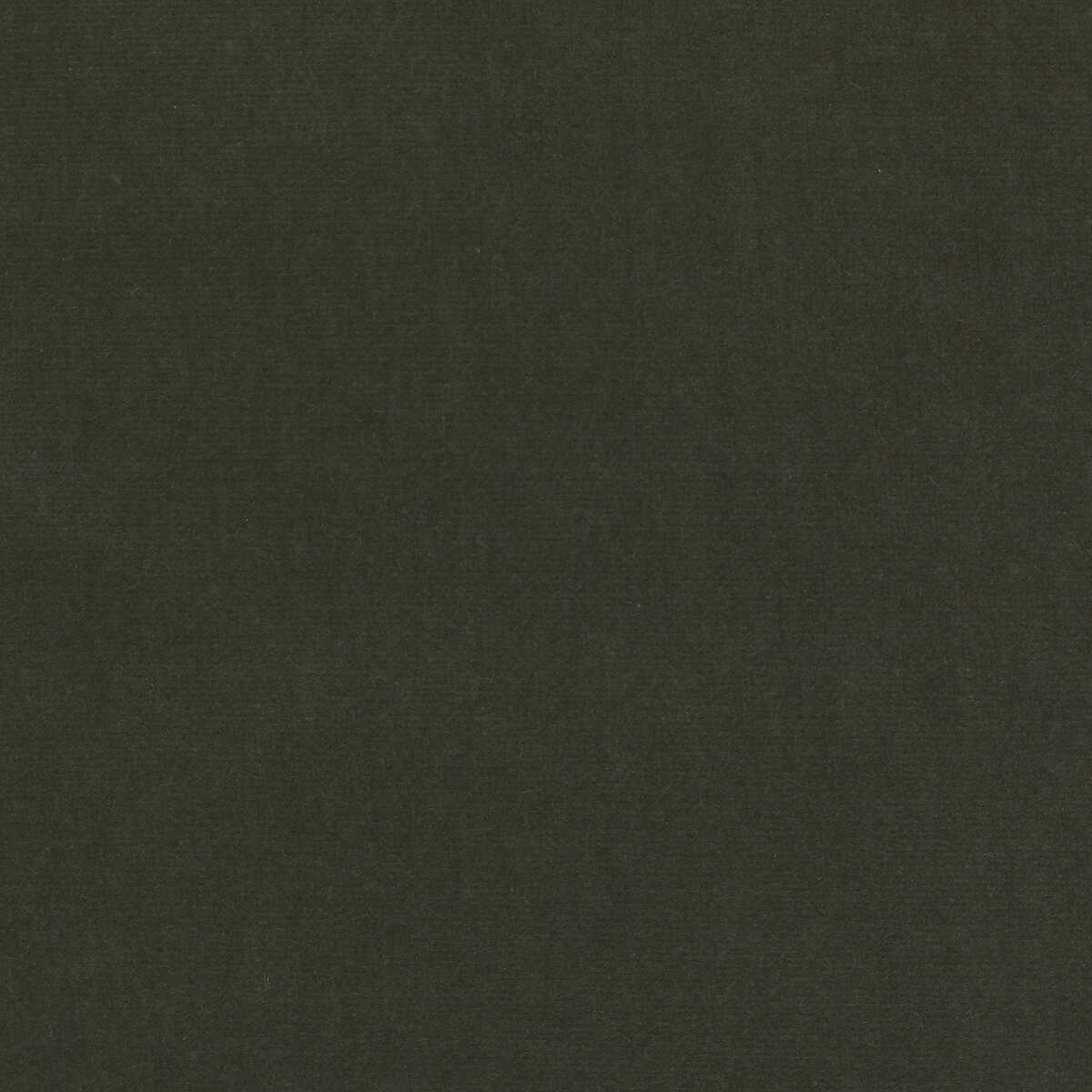 Eternal - 29 - KRAVET DESIGN Fabric