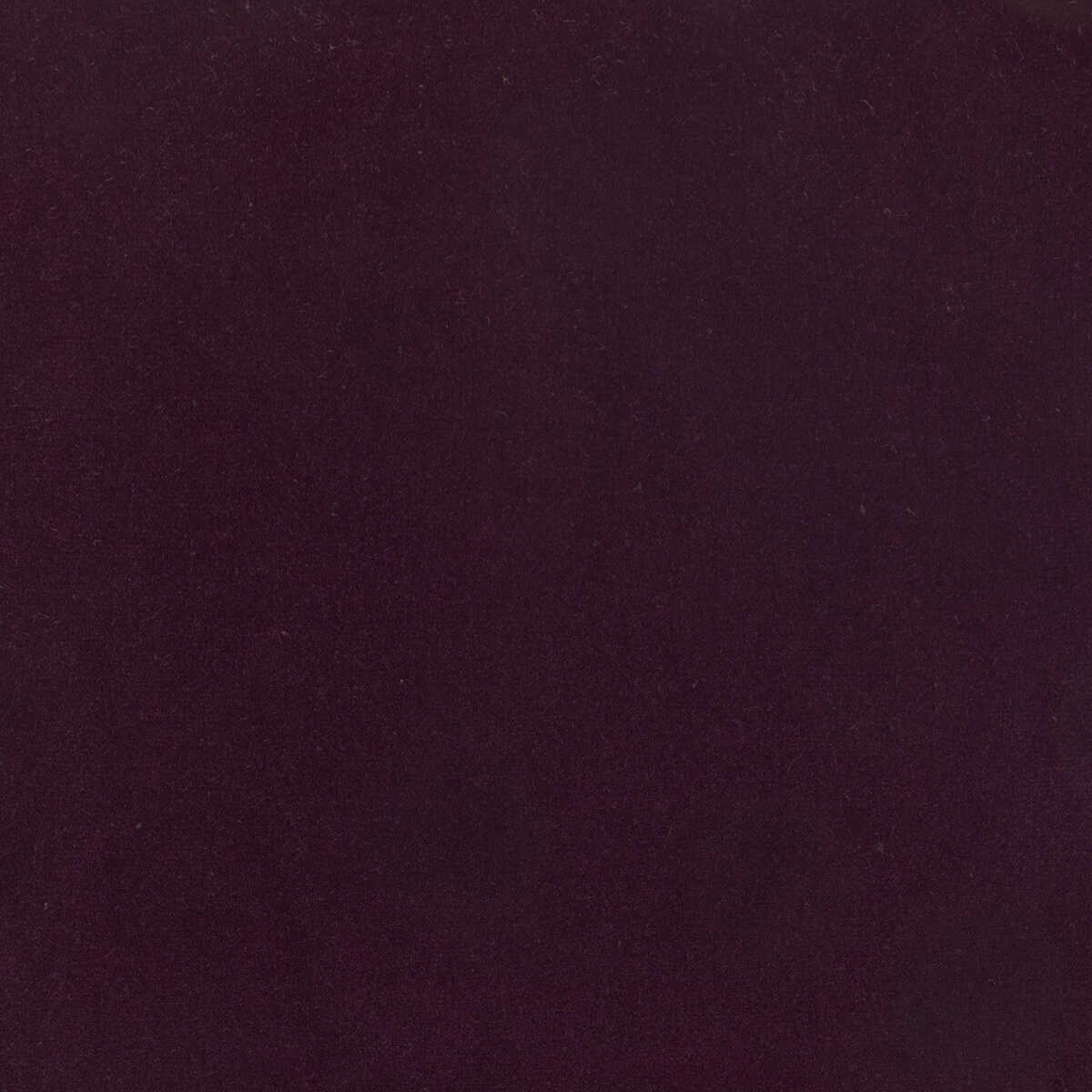 Eternal - 32 - KRAVET DESIGN Fabric