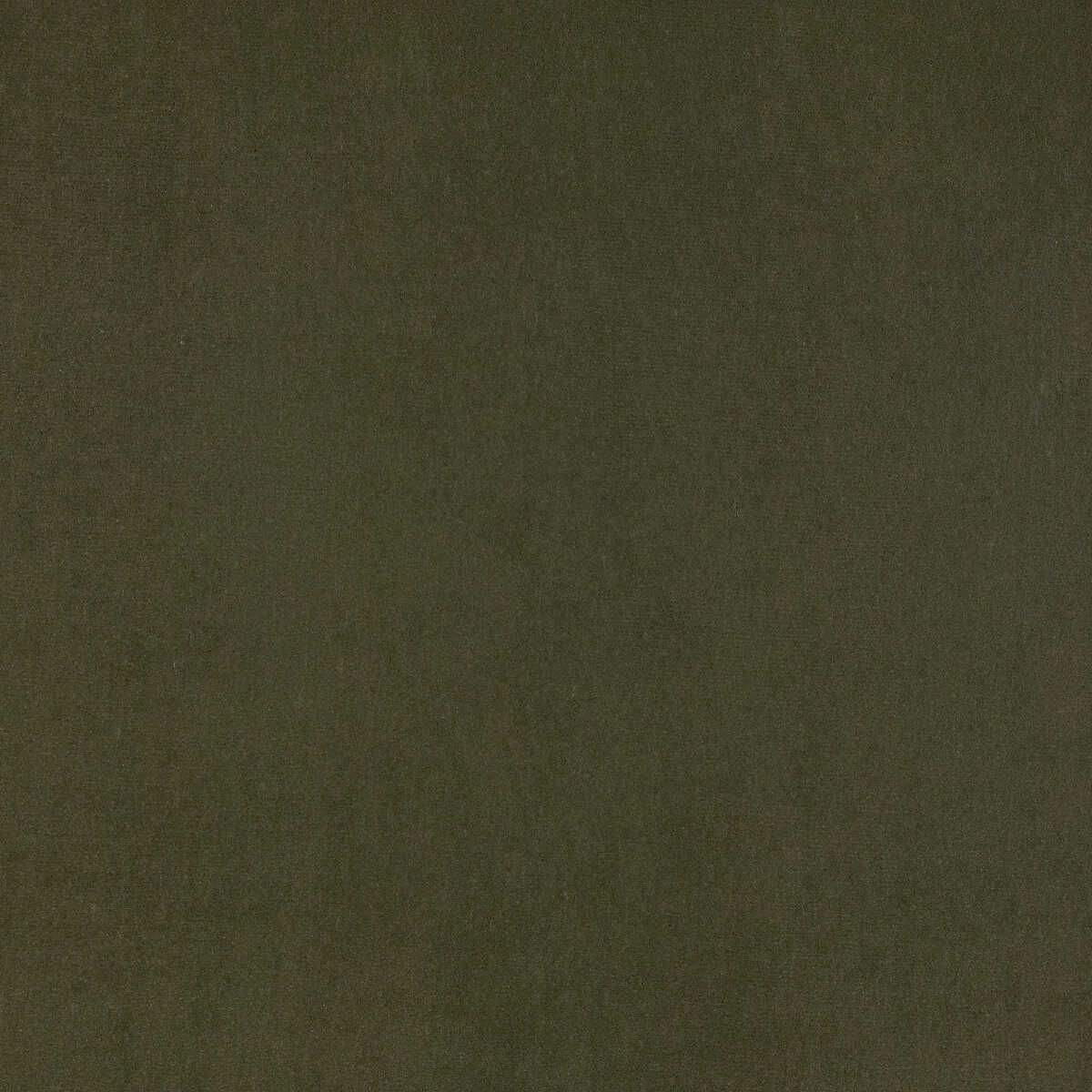 Guru - 13 - KRAVET DESIGN Fabric