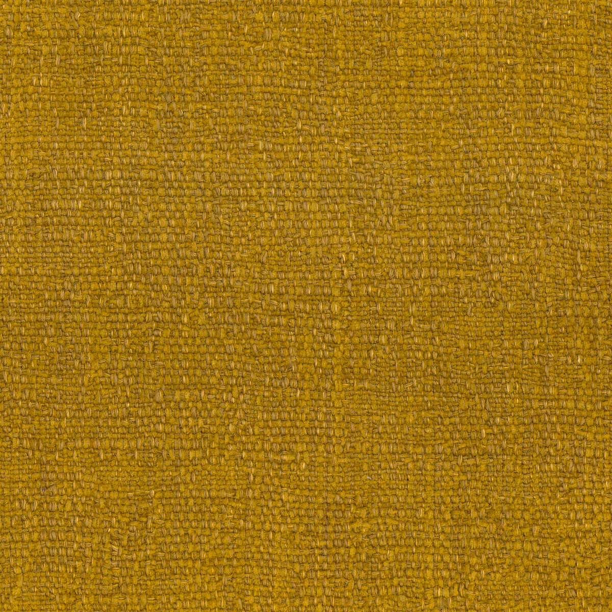 Tabriz - 05 - KRAVET COUTURE Fabric