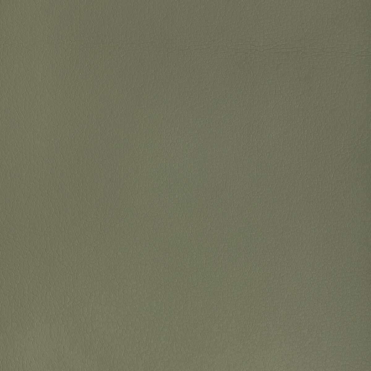 Kravet Design - Major-30