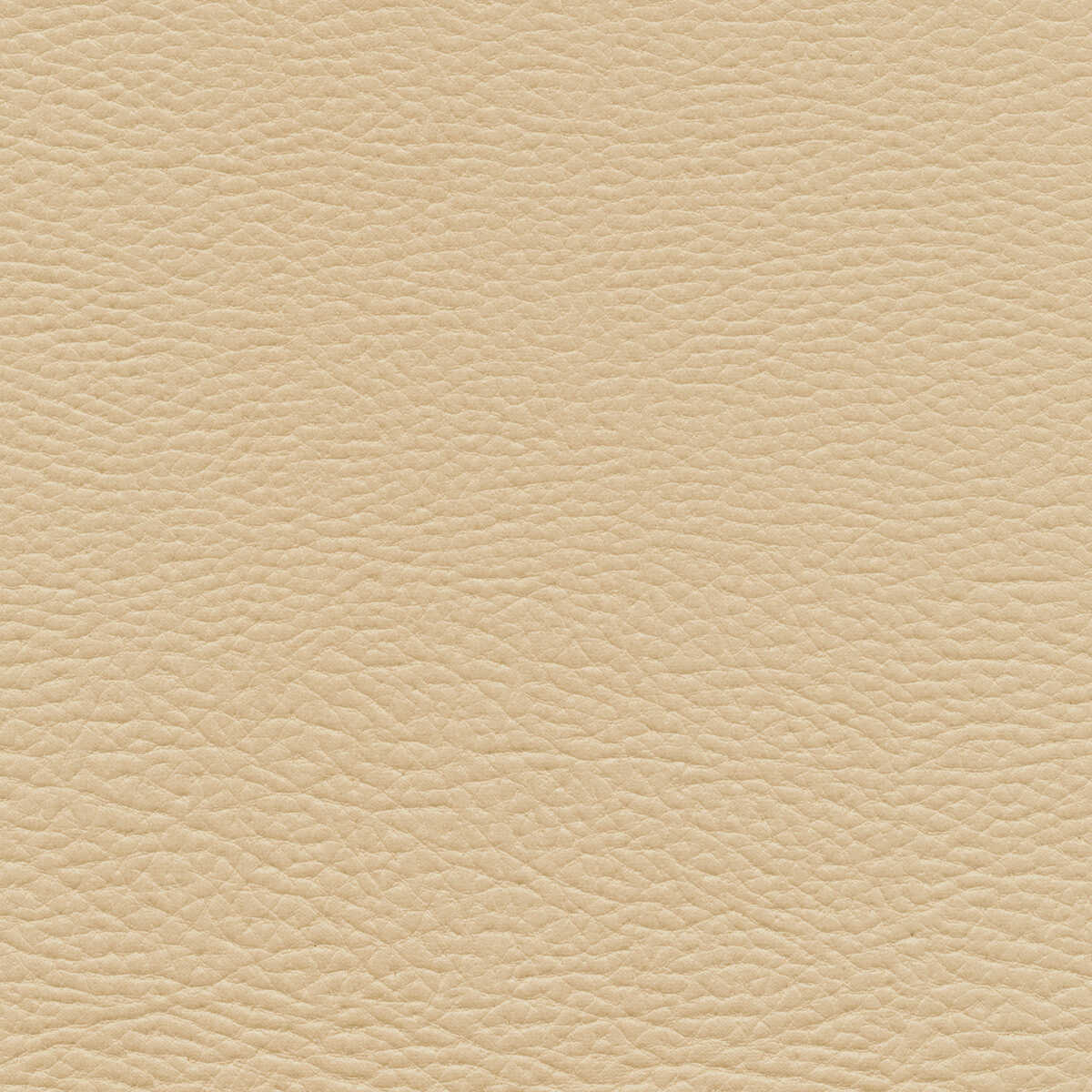 Kravet Design - Mashak-11 - KRAVET DESIGN Tela