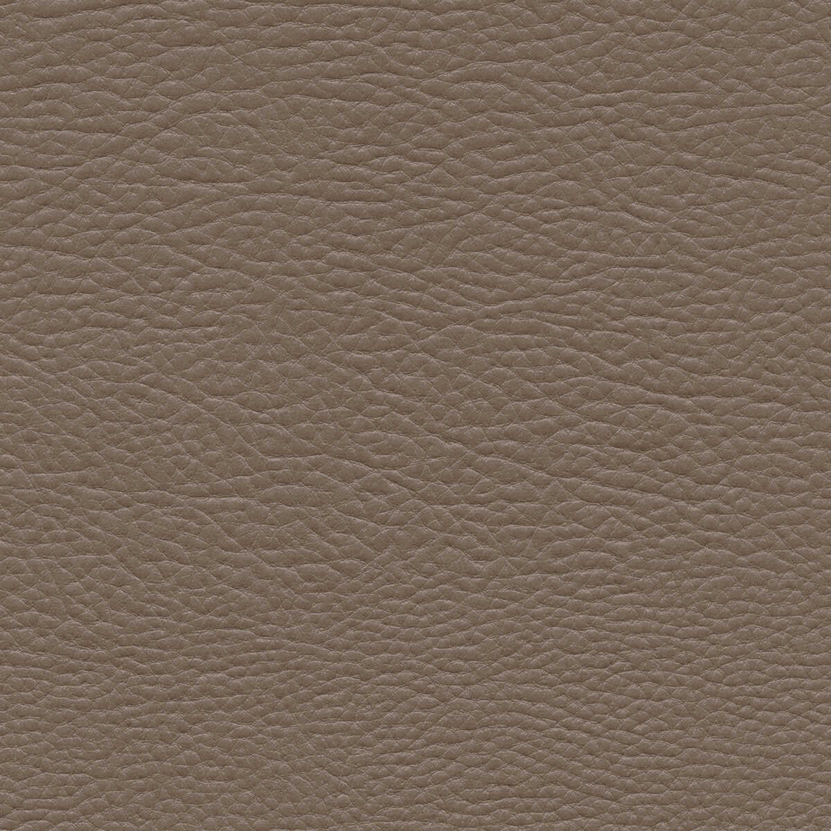 Kravet Design - Mashak-21 - KRAVET DESIGN Tela